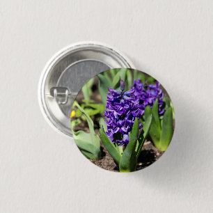 Badge Rond 2,50 Cm Géocinthe bleue au printemps