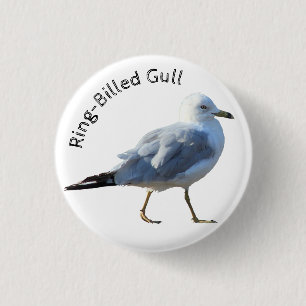 Badge Rond 2,50 Cm Goéland à anneaux