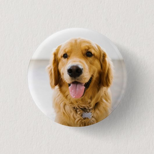Badge Rond 2,50 Cm Golden Retriever souriant (Devant)