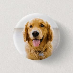 Badge Rond 2,50 Cm Golden Retriever souriant