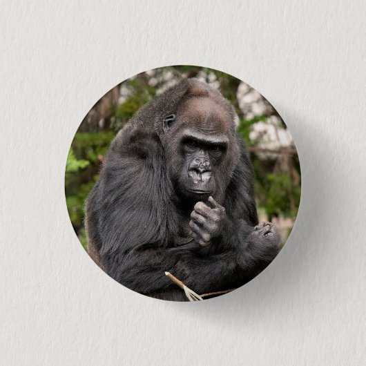 Badge Rond 2,50 Cm Gorille F 8672 (Devant)