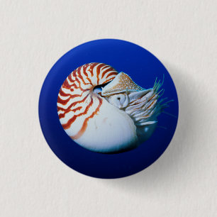 Badge Rond 2,50 Cm Gros Plan De Chambres Nautilus