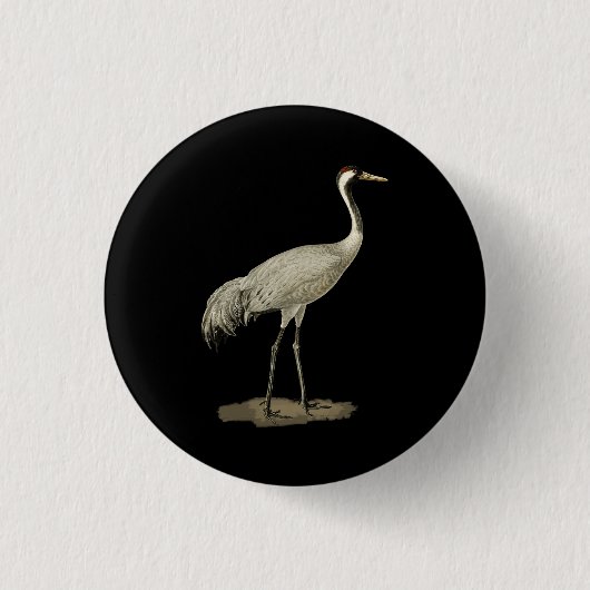 Badge Rond 2,50 Cm Grue de Sandhill Antigone Canadensis Bird Se Réfèr (Devant)