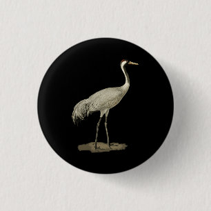 Badge Rond 2,50 Cm Grue de Sandhill Antigone Canadensis Bird Se Réfèr