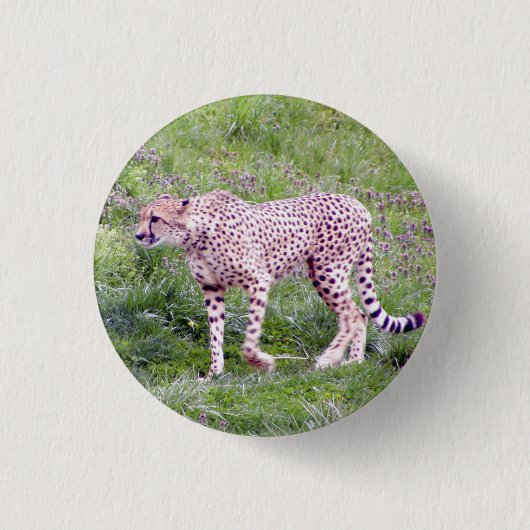 Badge Rond 2,50 Cm Guépard (Devant)