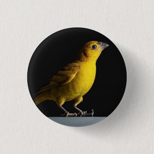 Badge Rond 2,50 Cm Icône : canari (Devant)