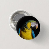Badge Rond 2,50 Cm Icône : Perroquet macaw (Devant & derrière)