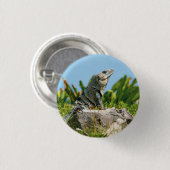 Badge Rond 2,50 Cm Iguana (Devant & derrière)