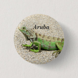 Badge Rond 2,50 Cm Iguane vert d'Aruba