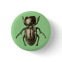 Insecte vert 2" bouton rond