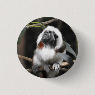 Badge Rond 2,50 Cm Insigne de Tamarin
