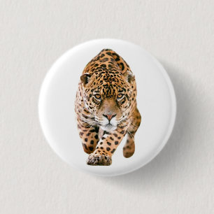 Badge Rond 2,50 Cm Jaguar Eyes
