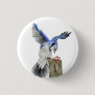 Badge Rond 2,50 Cm Jay bleu d'oiseau de la forêt