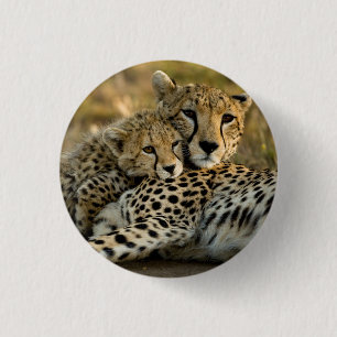 Badge Rond 2,50 Cm Jeune guépard câlinant sa mère