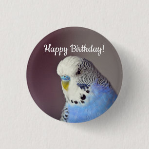 Badge Rond 2,50 Cm Joli Blue Budgie photo Anniversaire