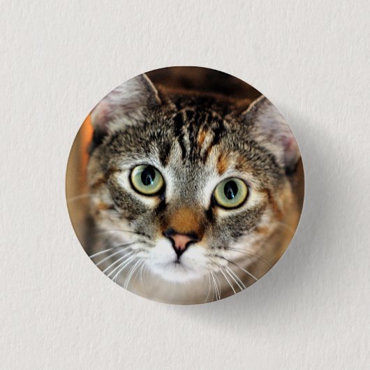 Badge Rond 2,50 Cm Joli bouton de chat de Kitty (Devant)