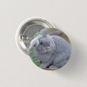 Badge Rond 2,50 Cm Joli lapin gris