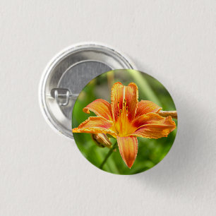 Badge Rond 2,50 Cm Jolie grande fleur Lily photo