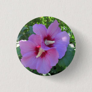 Badge Rond 2,50 Cm Jolie rose rose rose de Sharon Photographie
