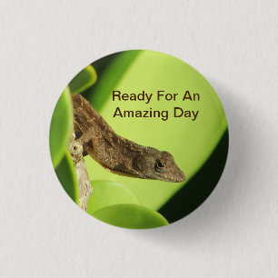 Badge Rond 2,50 Cm Jour incroyable Gecko Brun Tropical Positivité