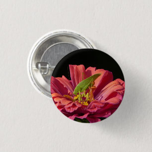 Badge Rond 2,50 Cm Katydid sur Zinnia