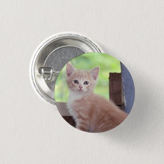 Badge Rond 2,50 Cm Kitten (Devant & derrière)