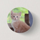 Badge Rond 2,50 Cm Kitten (Devant)