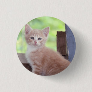 Badge Rond 2,50 Cm Kitten