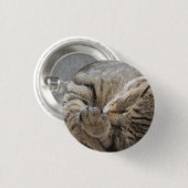 Badge Rond 2,50 Cm Kitty - Bouton (Devant & derrière)