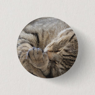 Badge Rond 2,50 Cm Kitty - Bouton