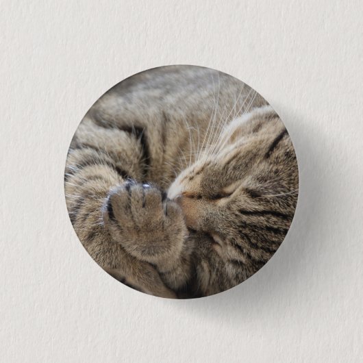 Badge Rond 2,50 Cm Kitty - Bouton (Devant)