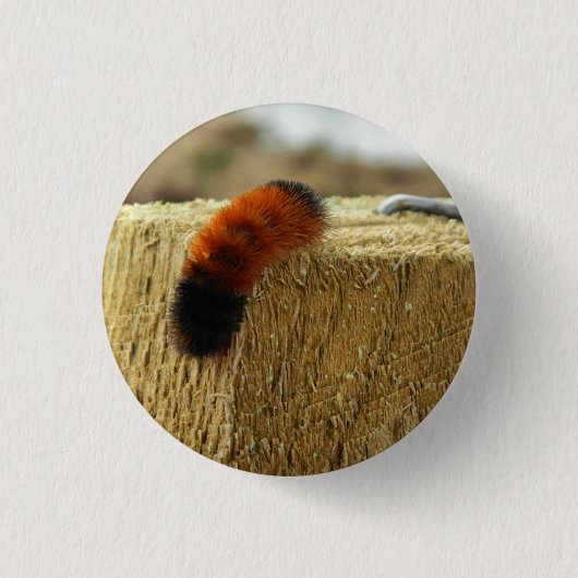 Badge Rond 2,50 Cm La fausse chenille (Devant)