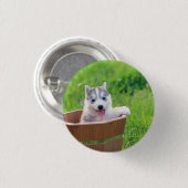 Badge Rond 2,50 Cm La marionnette sibérienne Husky dans un pot (Devant & derrière)