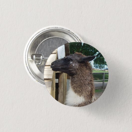 Badge Rond 2,50 Cm Lama (Devant & derrière)