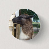 Badge Rond 2,50 Cm Lama (Devant)