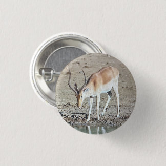 Badge Rond 2,50 Cm L'antilope,