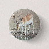 Badge Rond 2,50 Cm L'antilope, (Devant)