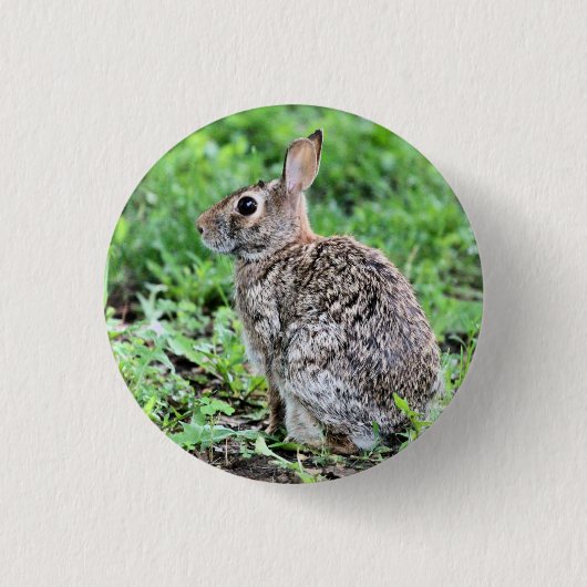 Badge Rond 2,50 Cm Lapin (Devant)