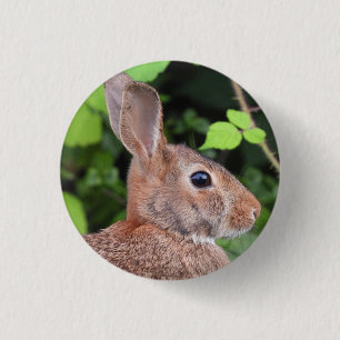 Badge Rond 2,50 Cm Lapin sauvage