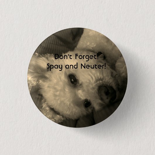 Badge Rond 2,50 Cm Le caniche stérilisent et changent le bouton de (Devant)