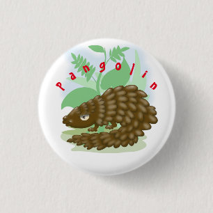 Badge Rond 2,50 Cm Le merveilleux petit pangolin