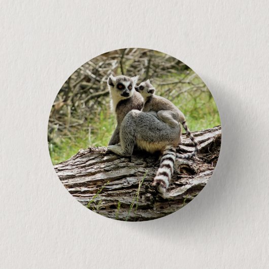 BADGE ROND 2,50 CM LEMUR À BORD (Devant)