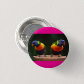 Badge Rond 2,50 Cm les oiseaux sont mignons  (Devant & derrière)