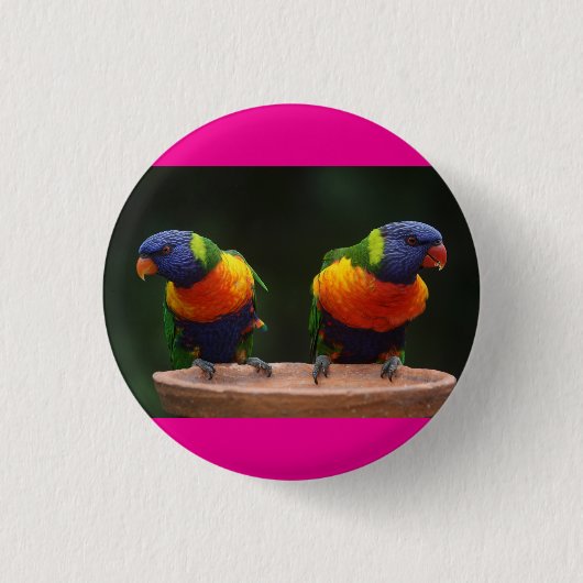 Badge Rond 2,50 Cm les oiseaux sont mignons  (Devant)