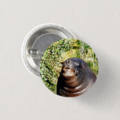 BADGE ROND 2,50 CM LION DE MER (Devant & derrière)