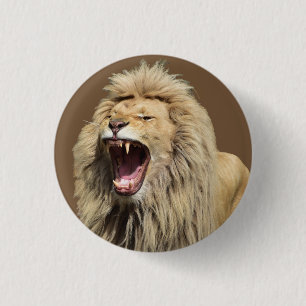 Badge Rond 2,50 Cm Lion haute tension