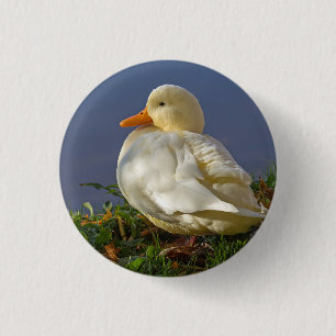 Badge Rond 2,50 Cm Little White Duck