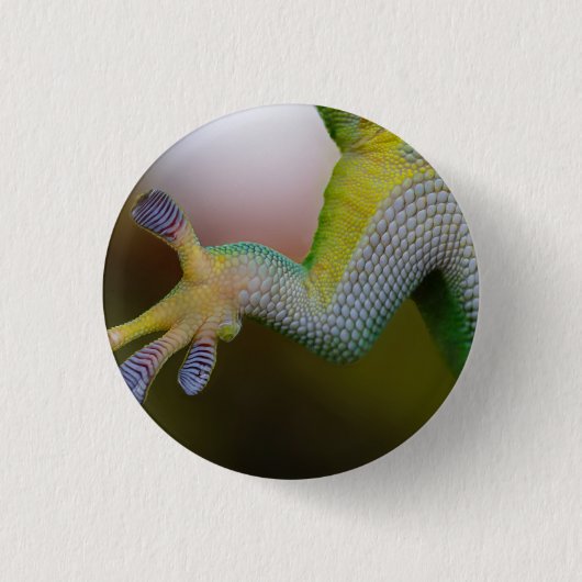 Badge Rond 2,50 Cm Lizard - Bouton (Devant)