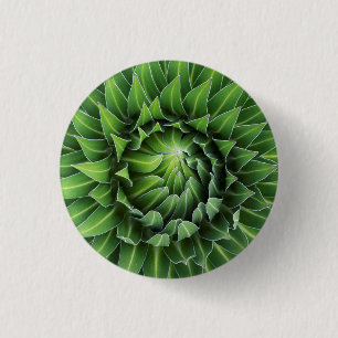 Badge Rond 2,50 Cm Lobelia géante Parc national du mont Kenya, Keny