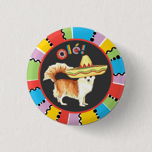 Badge Rond 2,50 Cm Long chiwawa de manteau de fiesta
